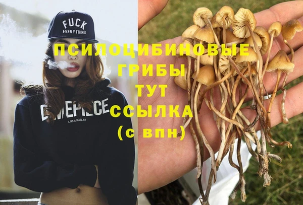 кокс Верея