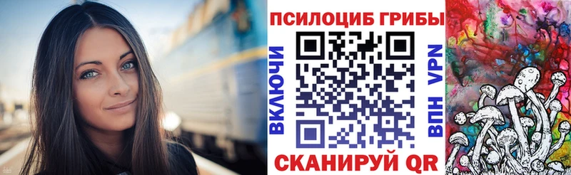 купить наркотик  Вихоревка  Галлюциногенные грибы Cubensis 